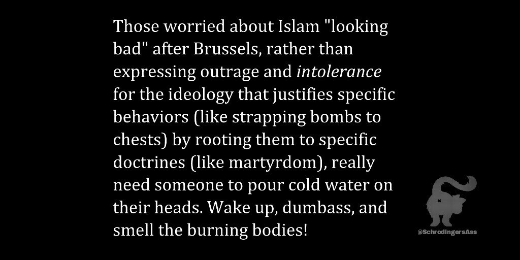 SchrodingersAss's tweet image. A short message for my fellow liberals as they get ready to respond to the #BrusselsAttacks.