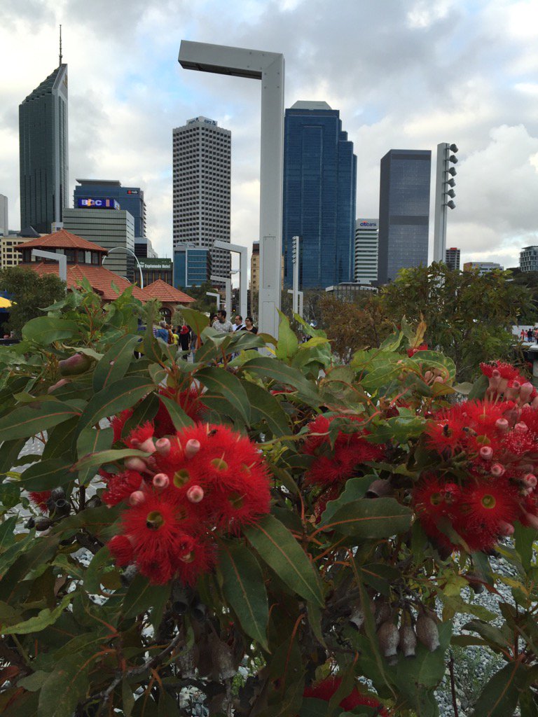 Keeping it green open day <a href="/CWiseAustralia/">C-Wise</a> today in support of local government
