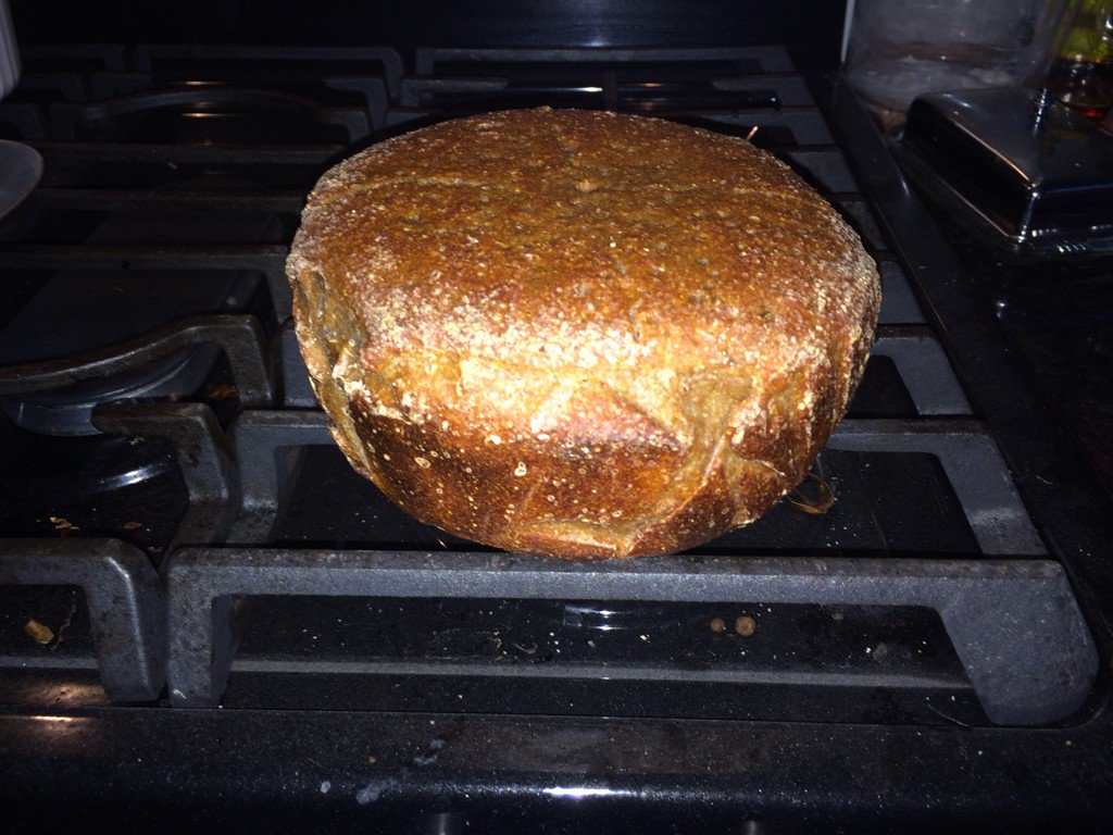 MrBrandon's tweet image. Home brewing has opened a gateway for me into fermenting pickles and breads. Here's a 70% rye sourdough. Yum.