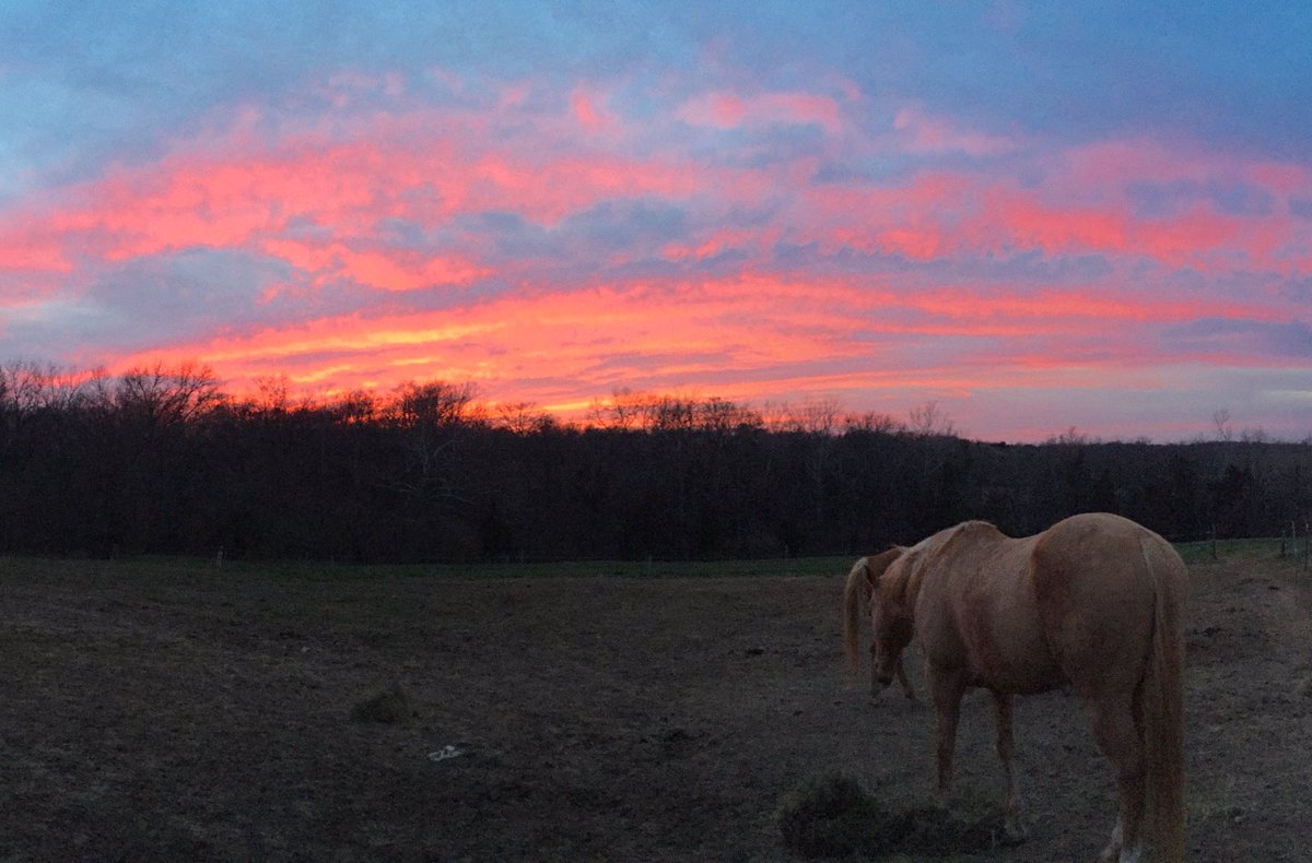 TammiElbert's tweet photo. Sunset tonight. @yourtake @SteveTempleton @sunset_wx @StormHour #mosunset #sunset https://t.co/dYwT55K1Rr