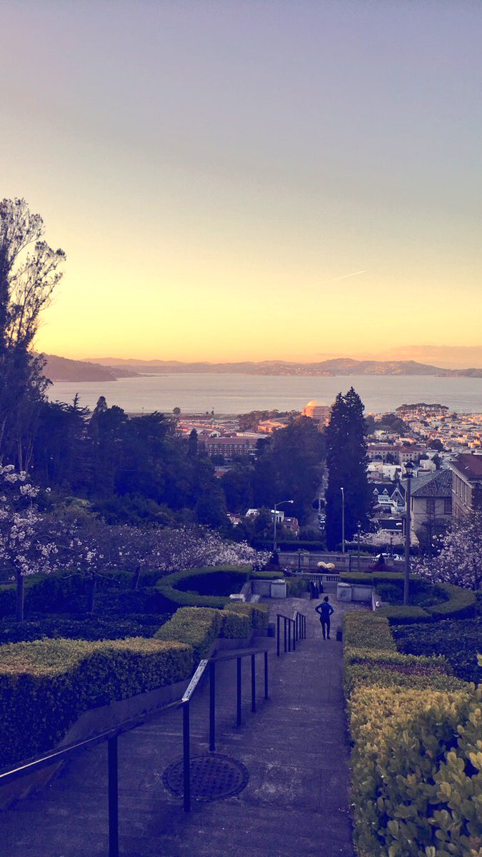 SarMWhite's tweet photo. Not bad SF, not bad. #workoutswithaview https://t.co/g74Fq8ZdVq