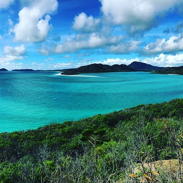 SeaLifeProject's tweet photo. Day 4: Whitsunday Island
#whitsundys #atlanticclipper #boat #greatbarrierreef #australia #… https://t.co/HRvMUWnpMO https://t.co/jmgdsZERuF