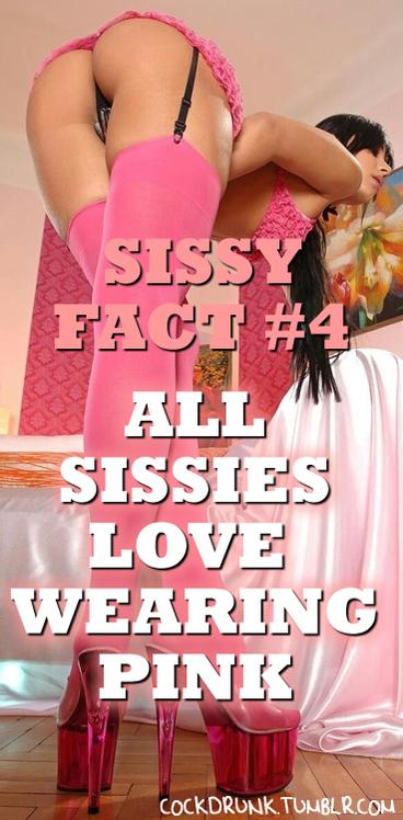 sissy_domme4U's tweet photo. https://t.co/IRKy6XTpBc