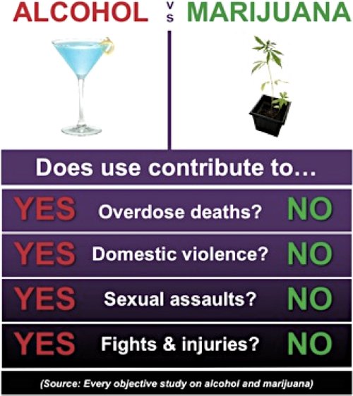 weedstorereview's tweet photo. Alcohol causes 1 million deaths per annum - while #marijuana has caused zero deaths in history. https://t.co/tRuLlSvGyp