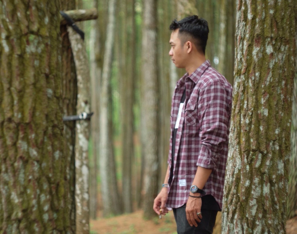 Dash! Ltd. tweet media