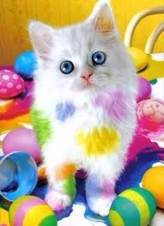 ❤️<a href="/mist_writer_x/">mist_writer__</a> ❤️
#Tuesday_Crayola_Rainbow_Love ❤️
🌹#KittyLove💜
Purrrr 🐱 ❌⭕️❌⭕️ 🐱hugs 💞
