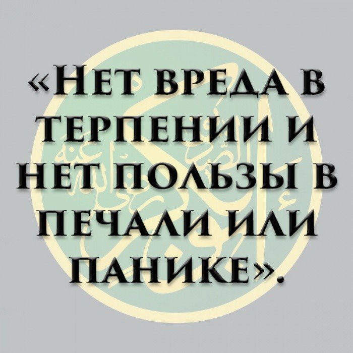 Netadver's tweet image. 