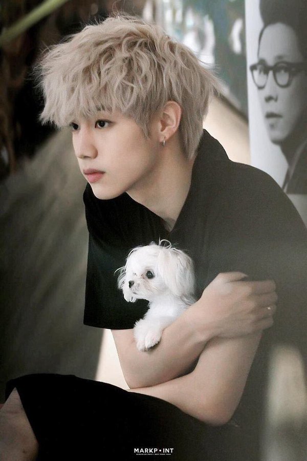 patpattpattz's tweet photo. ผมทรงเดียวกัน คิคิ >m<
#MarkCo #Mark #Coco #GOT7 https://t.co/wgqHaRaTxm