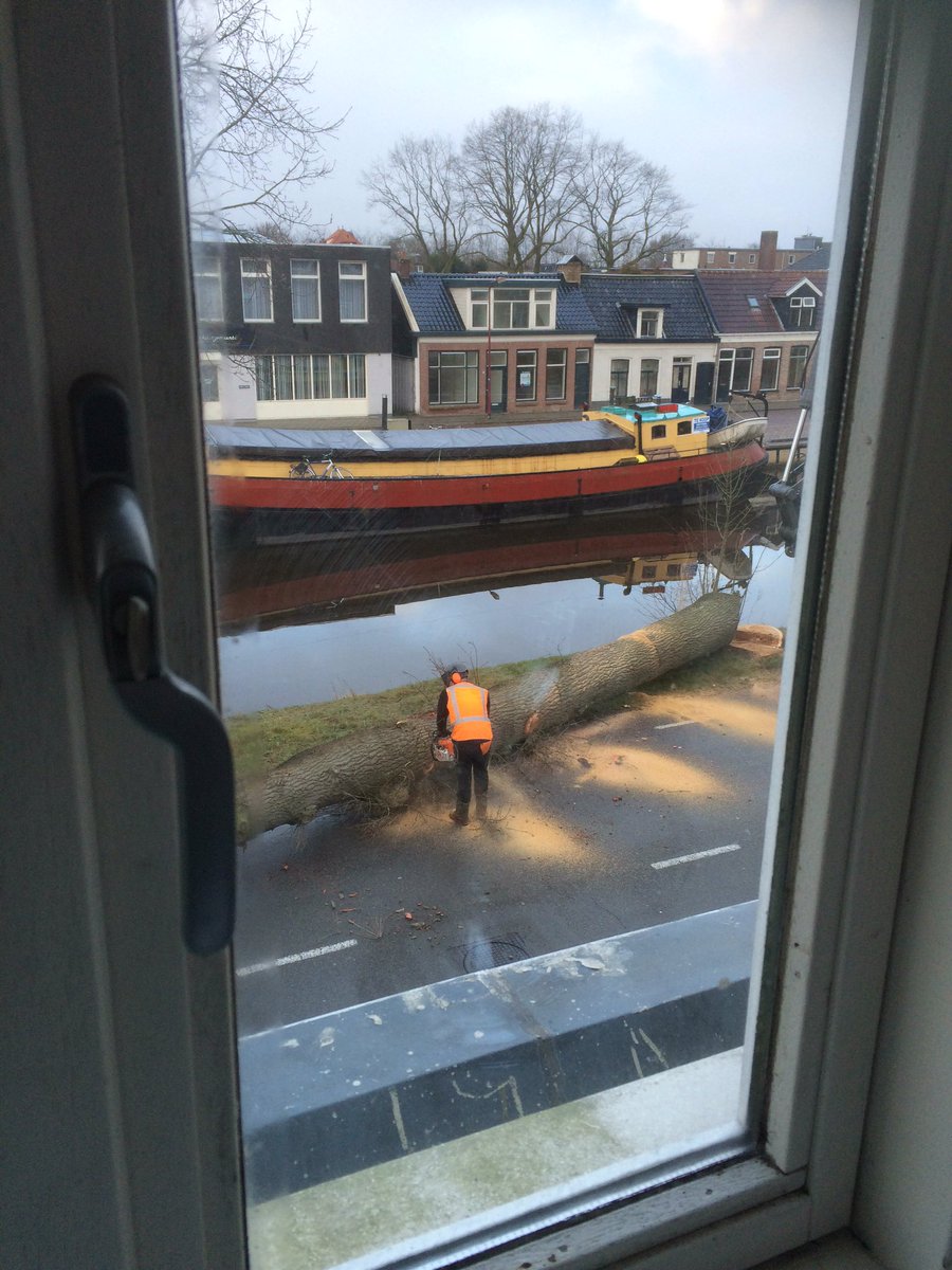 Gijzen500's tweet photo. De Fok is de Fok niet meer zonder die prachtige bomen... Waarom gemeente @Heerenveen ?? https://t.co/8Kooe3M4QJ