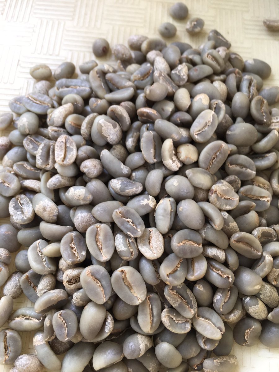 maharajacoffee's tweet photo. Gayo #pegasing #dryhulling green beans, shelf life longer and preserve best flavor compare to #wethulling process https://t.co/NHstNG9L34