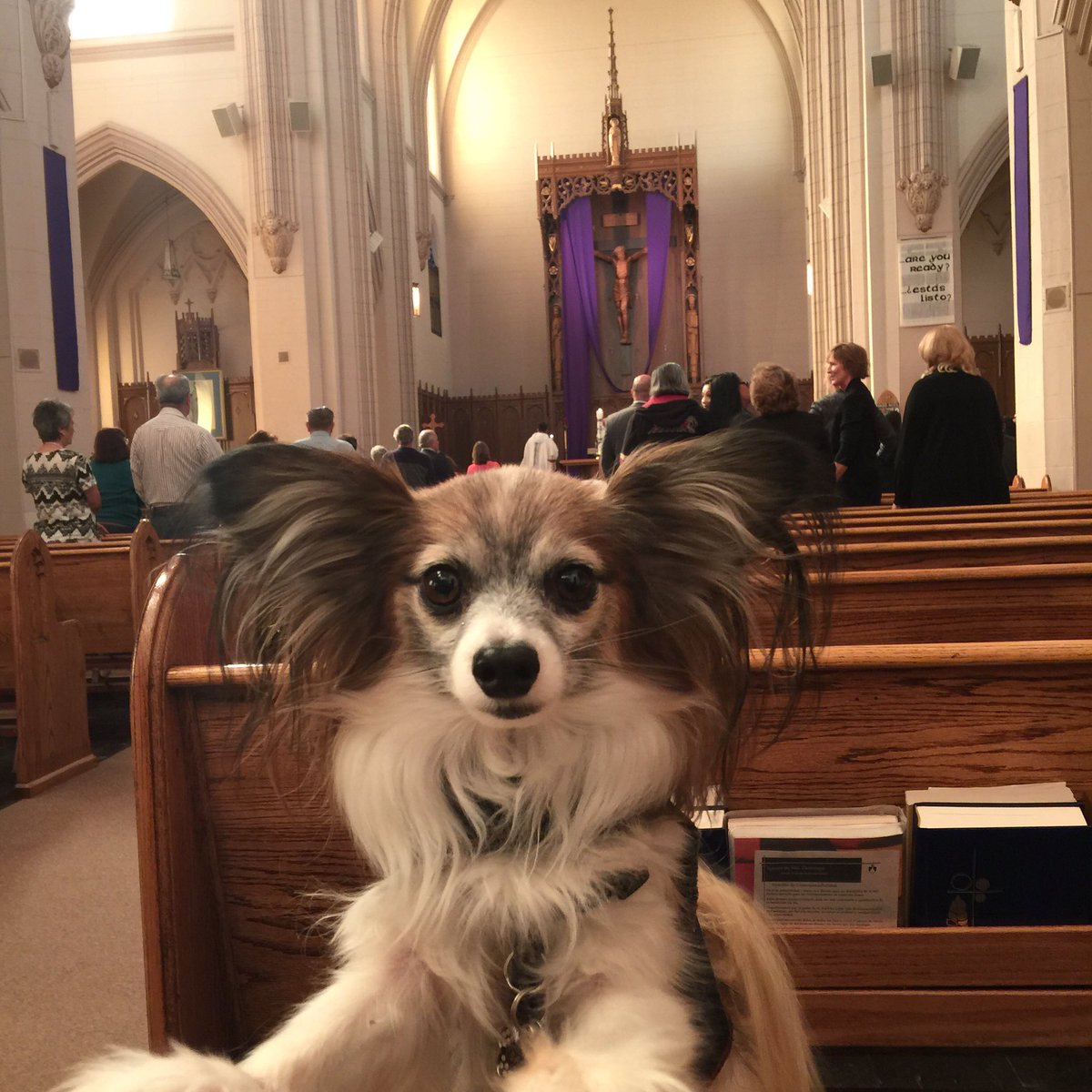 Vesadi's tweet photo. Sammy @ church https://t.co/uOLzlZBoQw