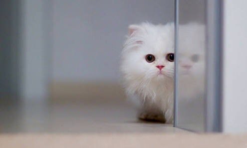 🎀TY 🐱
@Chuca_85 <a href="/mist_writer_x/">mist_writer__</a> <a href="/SSscoop475/">❤Scott S Cooper❤</a> <a href="/TwitWhizz/">連立解消</a> <a href="/redsand2/">Simon Kim</a> <a href="/ClaudyTheArtist/">ClaudyThe Artist</a> <a href="/koji2530112/">Ivan Lendl Fan #MGWV</a> <a href="/bordong2/">GΣЯΛ</a> <a href="/JohnJwso/">John Marine Warrior</a>