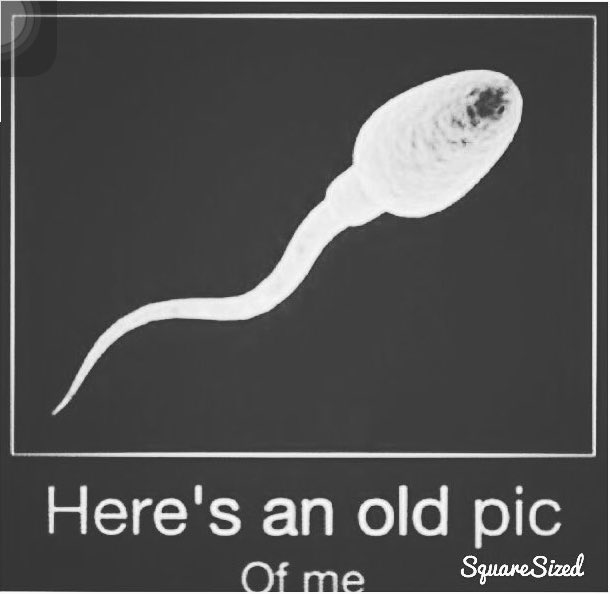 danielsahyounie's tweet photo. How cute was I !! https://t.co/09V2Pbpkeu