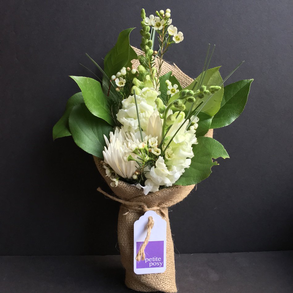 petiteposyny's tweet photo. Today's Posy: White Canadian Snap Dragon, Spider Chrysanthemums a... #florist #manhattan  https://t.co/8yw0nB0sZa https://t.co/rZMSPnKoNr
