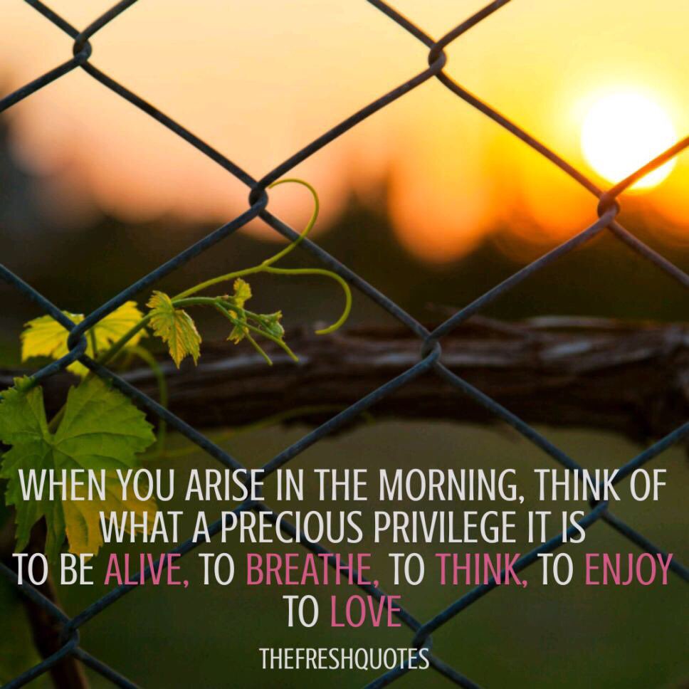 flutist_kim's tweet photo. GM! #preciousprivilege @SamsSecretAlias @nipunad @CatsandKilts @fltchk @SassenachSJ @barbsherfinski @d_beth68 https://t.co/VmgcXsY8jt