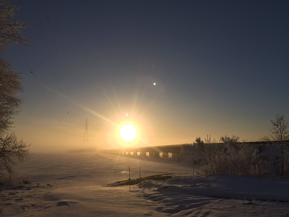 29_SteveO's tweet photo. Was a little frosty #spring #frost #fortfrances https://t.co/iva90jiXvc