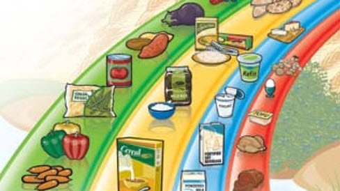 OANDorg's tweet photo. Canada's Food Guide needs an update to help address the growing obesity crisis
---> https://t.co/GudJN7ouPe https://t.co/CdJmsdTW7y