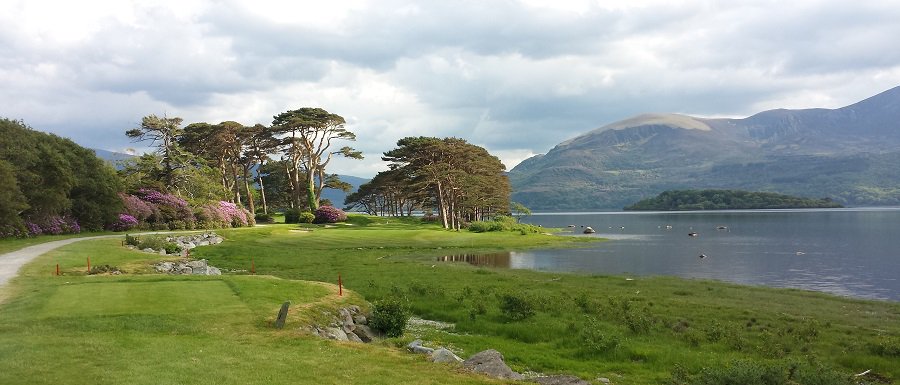 Killarney1893's tweet photo. Our #Fourball #PlayandDine offer ends March 31st! #dontmissout #superbvalue
https://t.co/ZKMLE7mPSK https://t.co/mo7cl04oOX