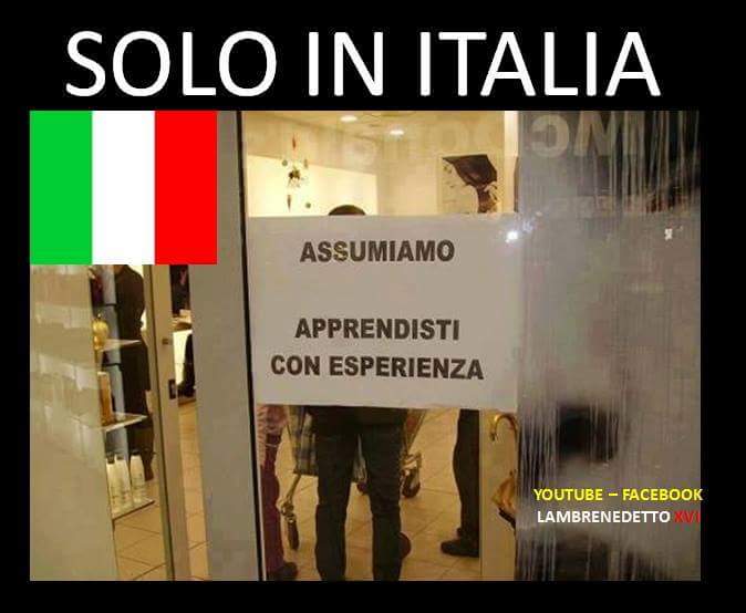 JoaoLorenzo10's tweet image. Traduzione: gente che sa lavorare e che possiamo sottopagare...  #Merdedasempre  #rifiutitossici  #Kamikazesociali