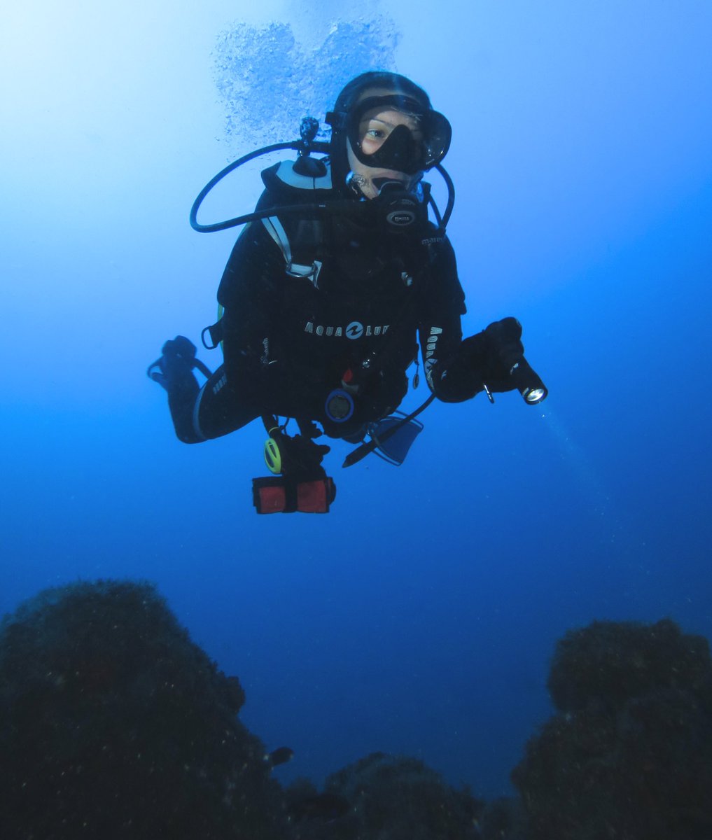 Will Appleyard tweet media