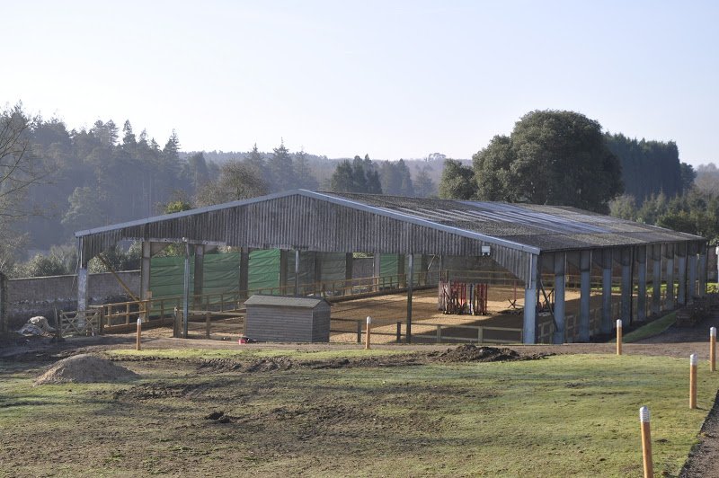 #equestrianhour are you looking for full #livery? Open Day Bedgebury Park 3rd April »  buff.ly/1Z6fIqJ