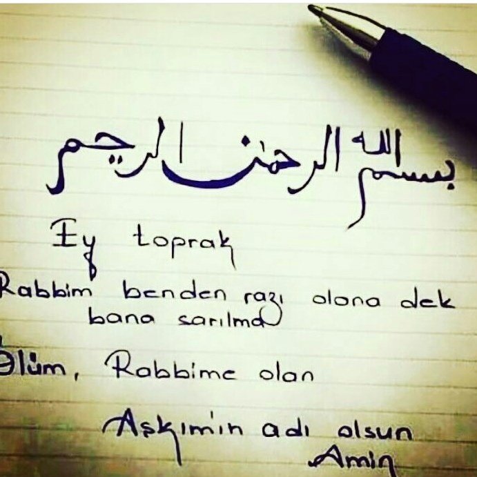 haydin tweet media