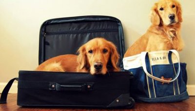 vetselection's tweet image. ¡Todo listo para las vacaciones de Semana Santa! ¡No os olvidéis de vuestras mascotas cuando hagáis la maleta!