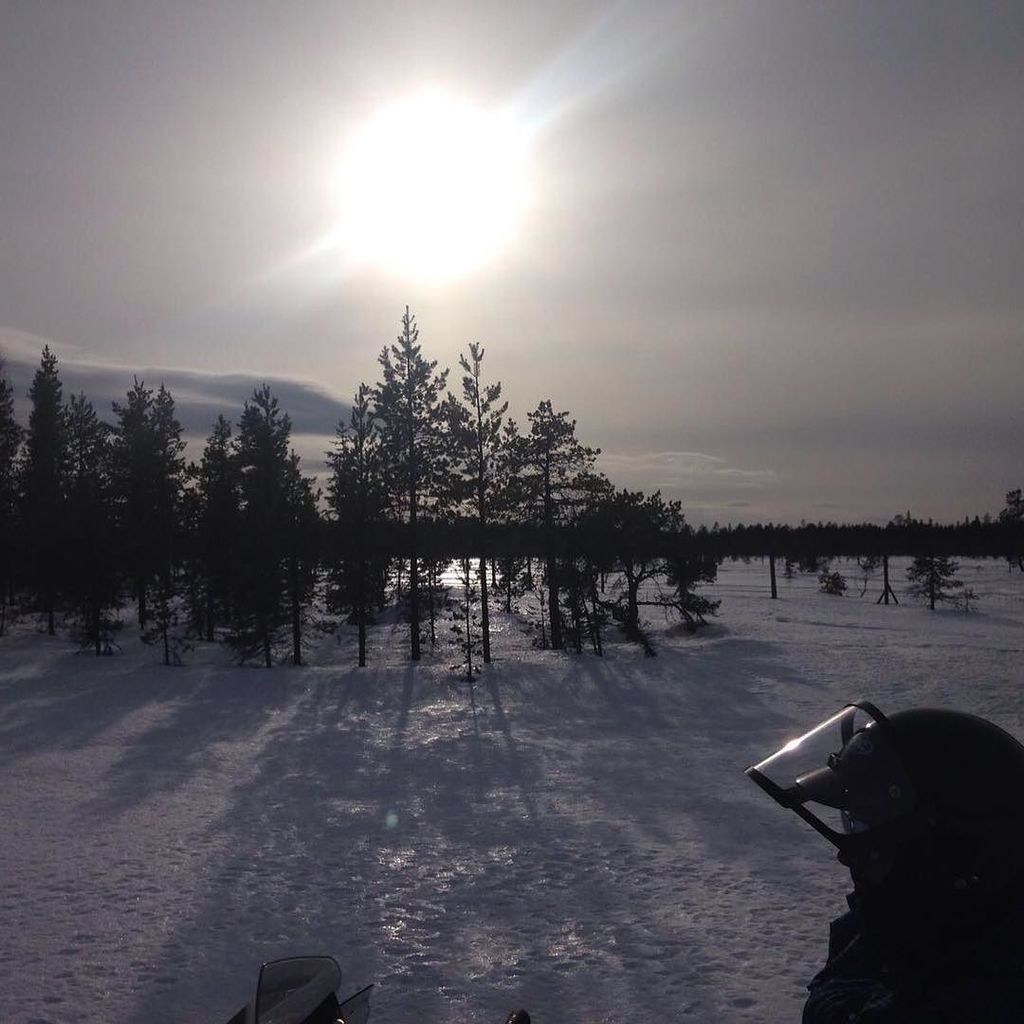 SnowmobileFotos's tweet photo. #Snowmobile Foto: By Instagram notorious_mic https://t.co/tCFIOZumbJ #levispirit #finland #snowmobile #revenant #i… https://t.co/mVrdcPPbTi
