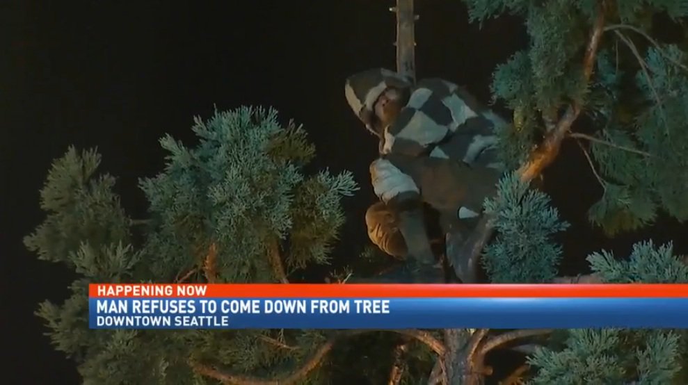 Ben & Kelly Show tweet media