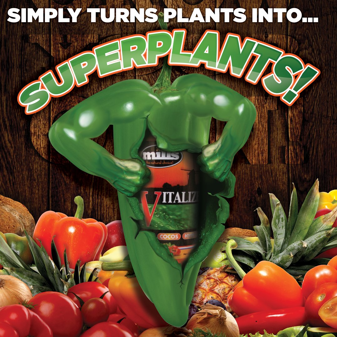 Mills Vitalize.. Turns plants into Superplants! info@dnamills.co.uk #Growing #Nutrients #Hydroponics #Mills