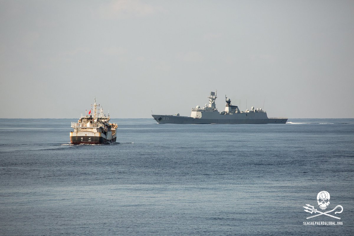 seashepherd's tweet image. #BREAKING: 2 Chinese Navy Warships on the scene as @MYSteveIrwin continues pursuit of the Fu Yuan Yu 076 #OpDriftnet