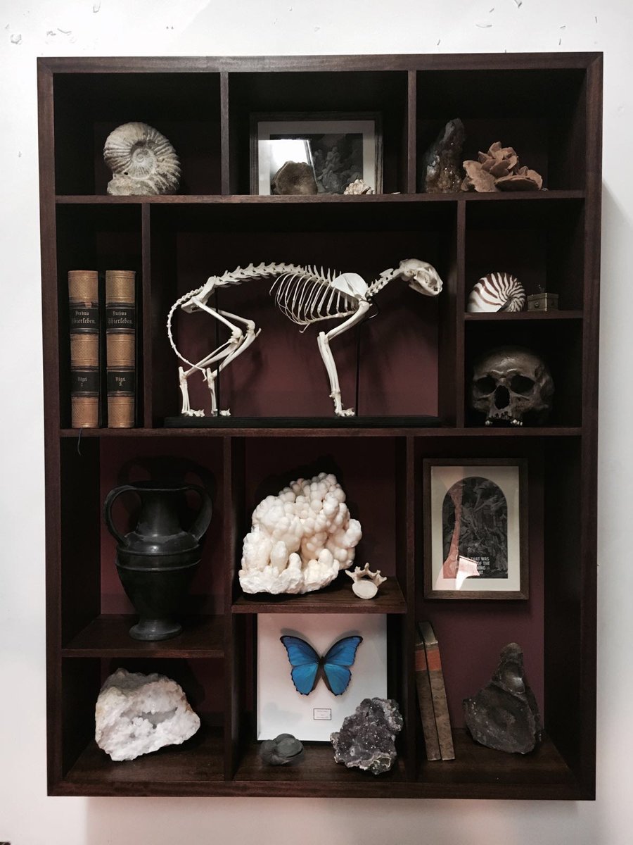 ConnorBrothers's tweet photo. So excited to be working on a new series for Wondrous Obsessions @hanguppictures Cabinets of Curiosity https://t.co/eLaIYRgN0h