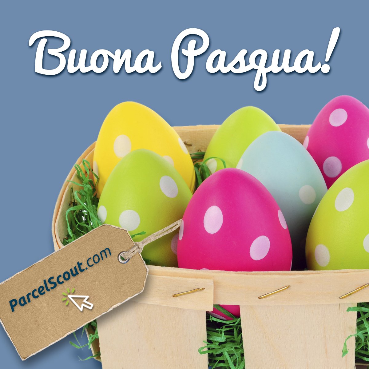 ParcelScout's tweet image. Mancano pochi giorni! Non perdete l'occasione di #spedire in tempo per #Pasqua con le nostre #tariffe #lowcost !!