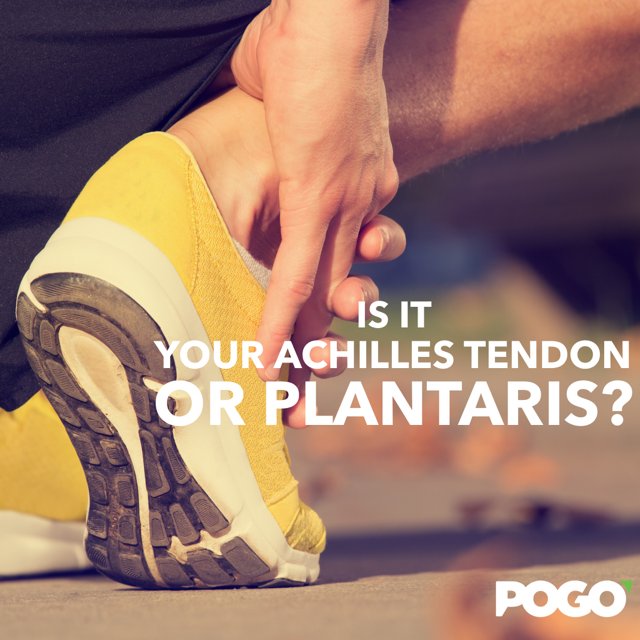 pogophysio's tweet image. The role of plantaris in pain aroud the achilles tendon #painfree #physio #running bit.ly/1munxZp