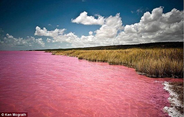 TheSaltManLtd's tweet photo. Ahhhh, the wonder of salt... https://t.co/WXsJVBU9pG https://t.co/UBjiY3Fho5