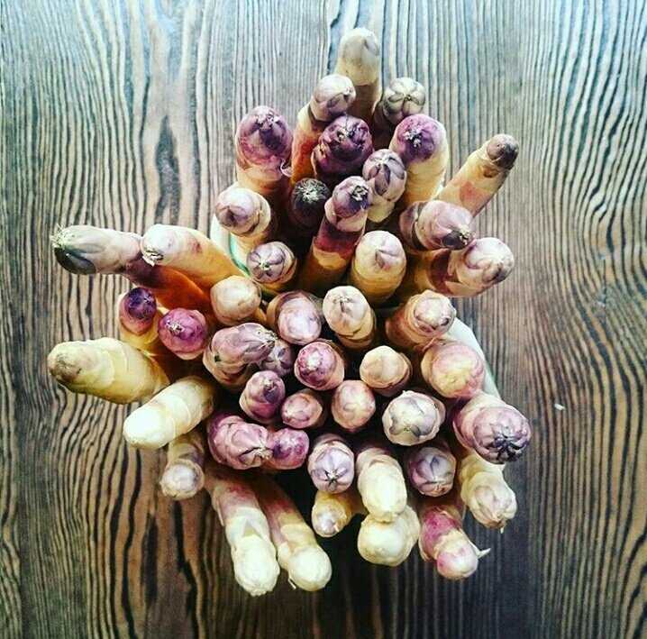 Bio baltie sparģeļi no <a href="/UNCE_eko/">UNCE Tirgotava</a>  gaida gardēžus Restorānā 3
#DABASgarša #bio