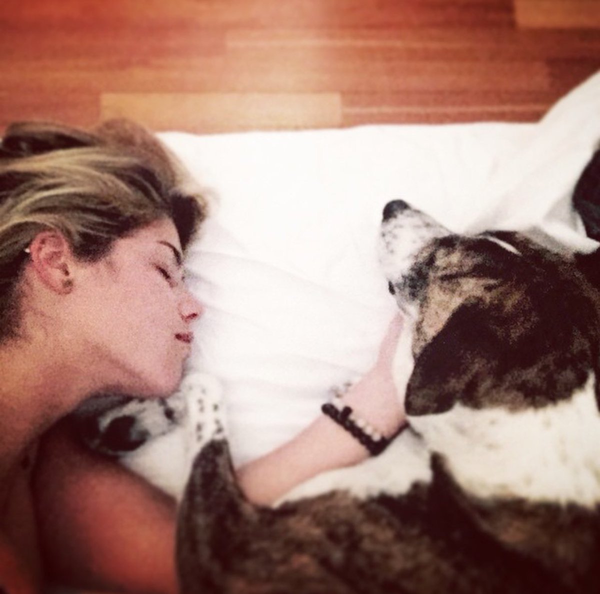 AdeptTechie's tweet image. Grumbles. &quot;Don&apos;t wanna. . . Get up. . .&quot;