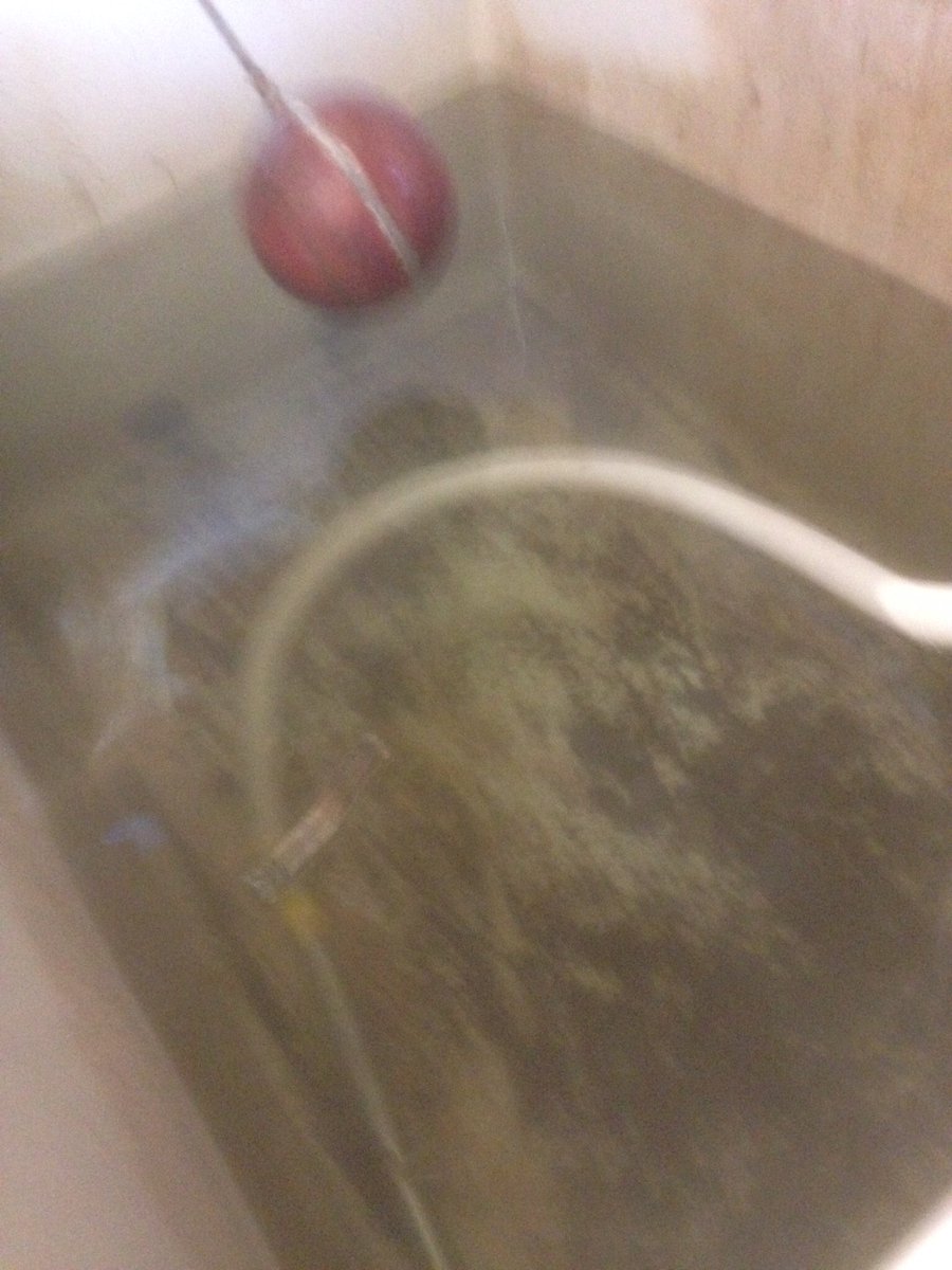 Dean Rowe tweet media