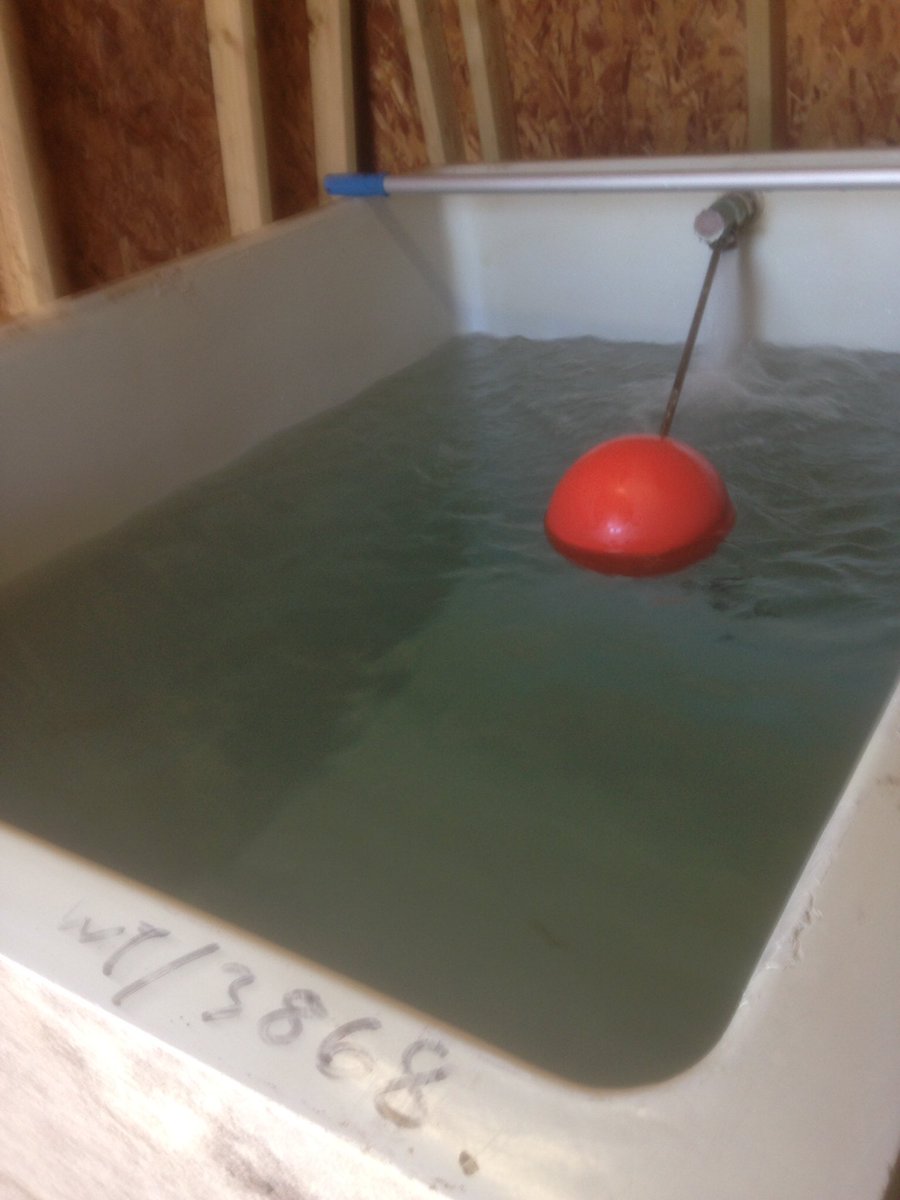 Dean Rowe tweet media