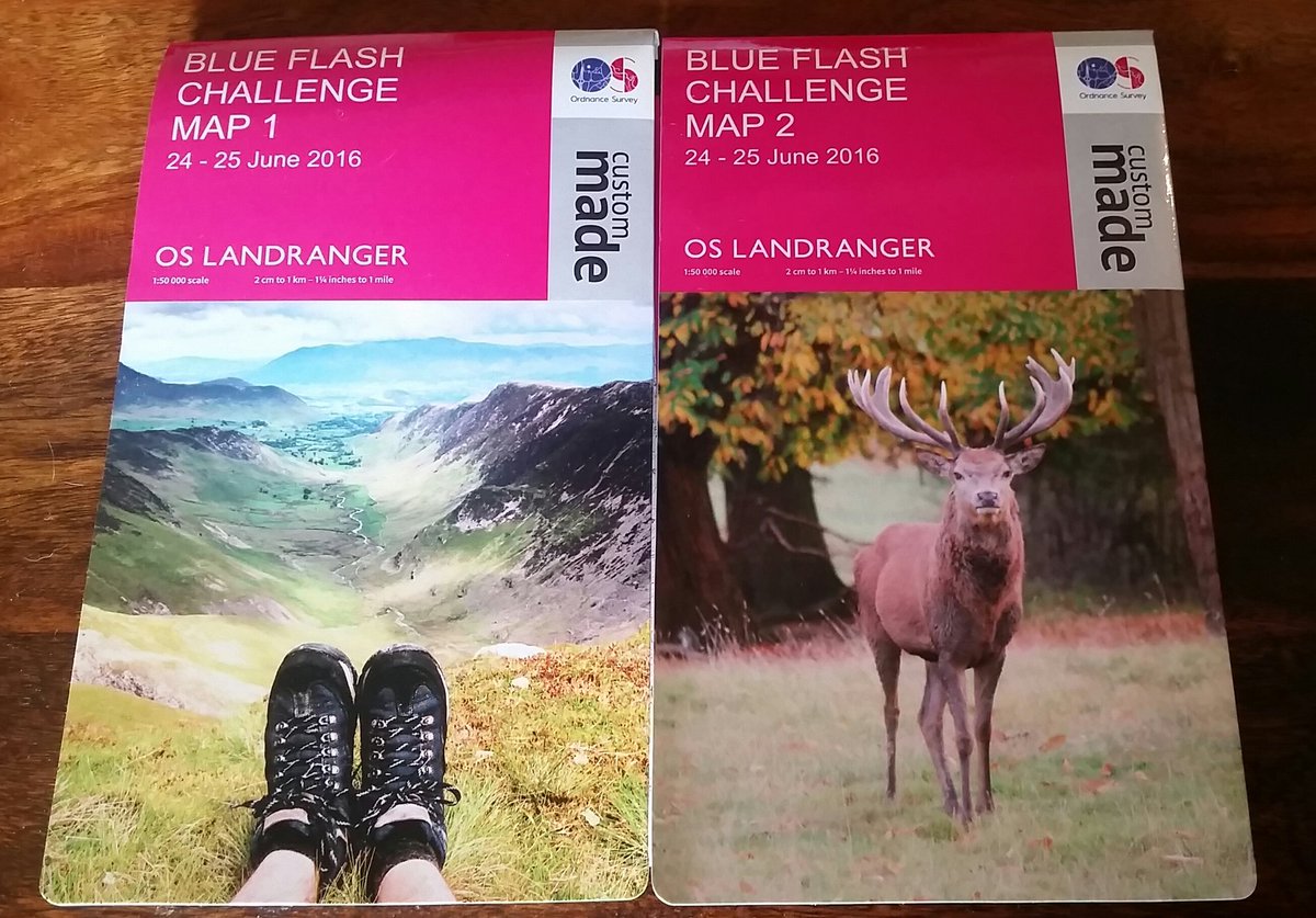 Maggie Macleod tweet media