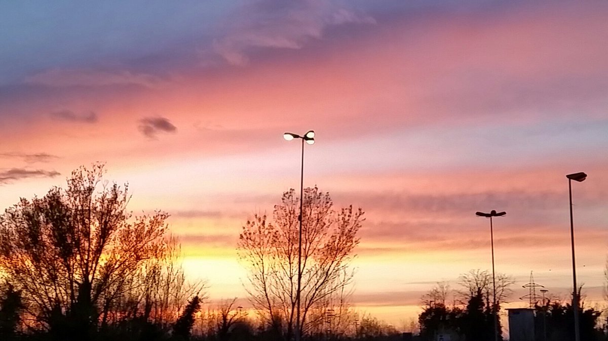 Veronica GiurichPica tweet media