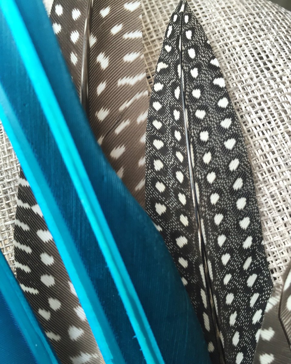GeorgeDurdy's tweet photo. New designs new season! #SS16 #millinery #hats #headpiece #georgedurdy #feathers #blue https://t.co/3Xk3vSeocN
