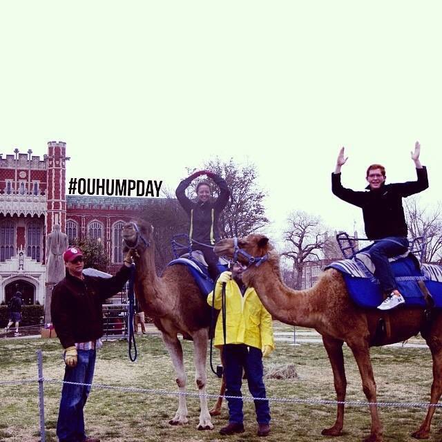 OUSummerSession's tweet photo. Come join us for OU Hump Day next Wednesday at 10:00 am!! #OUHumpDay https://t.co/ghOvYYWiIY