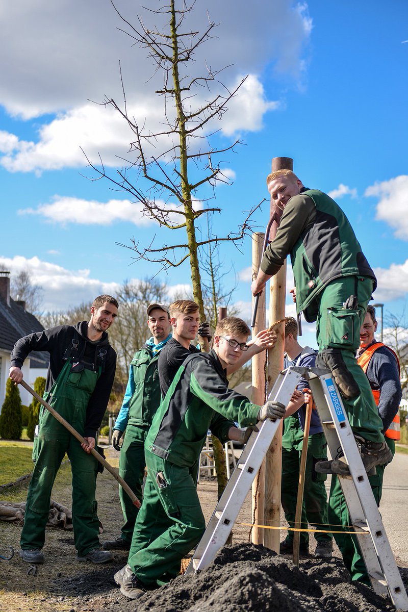 Kiel - ein neues Zuhause für Purpur-Erle, Säulen-Hainbuche, Gleditschie und Zürgelbaum? is.gd/CummUp