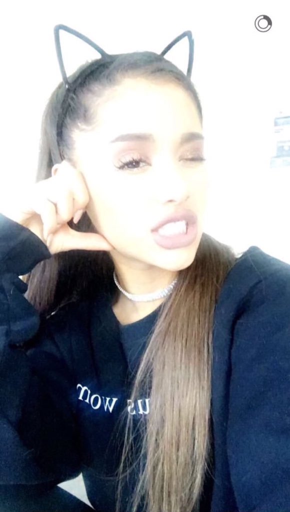 candybutera's tweet photo. the cat ears !!!! https://t.co/gWRZNrBdwM