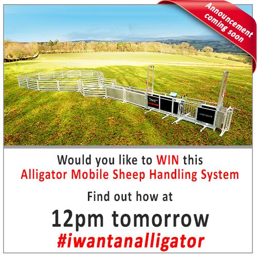 AlligatorSystem's tweet photo. Here's a heads up on the time of the big announcement. Don't forget to FOLLOW and RETWEET #iwantanalligator https://t.co/eWIgH0KNE1