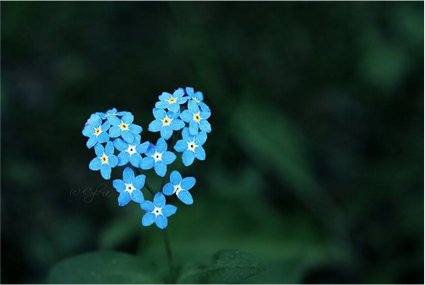 DementiaFriends's tweet image. We've reached 1.5 million #DementiaFriends in England, Wales &amp;amp; Northern Ireland. Thank you for all your support!