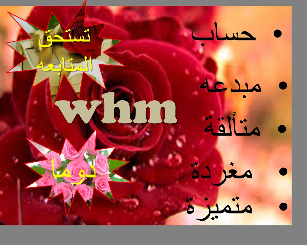 dalaak144's tweet photo. @mooooody7755 #whm
#حساب_يستحق_المتابعه https://t.co/0kR4PSMlyO