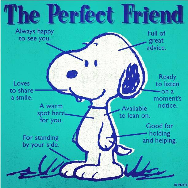 HashtogApparel's tweet photo. Happy #NationalPuppyDay Dogs truly are man's best friend. They greet u @ door w/ smile &amp; tail wagging. #dogsmatter https://t.co/UUp2quiRFg