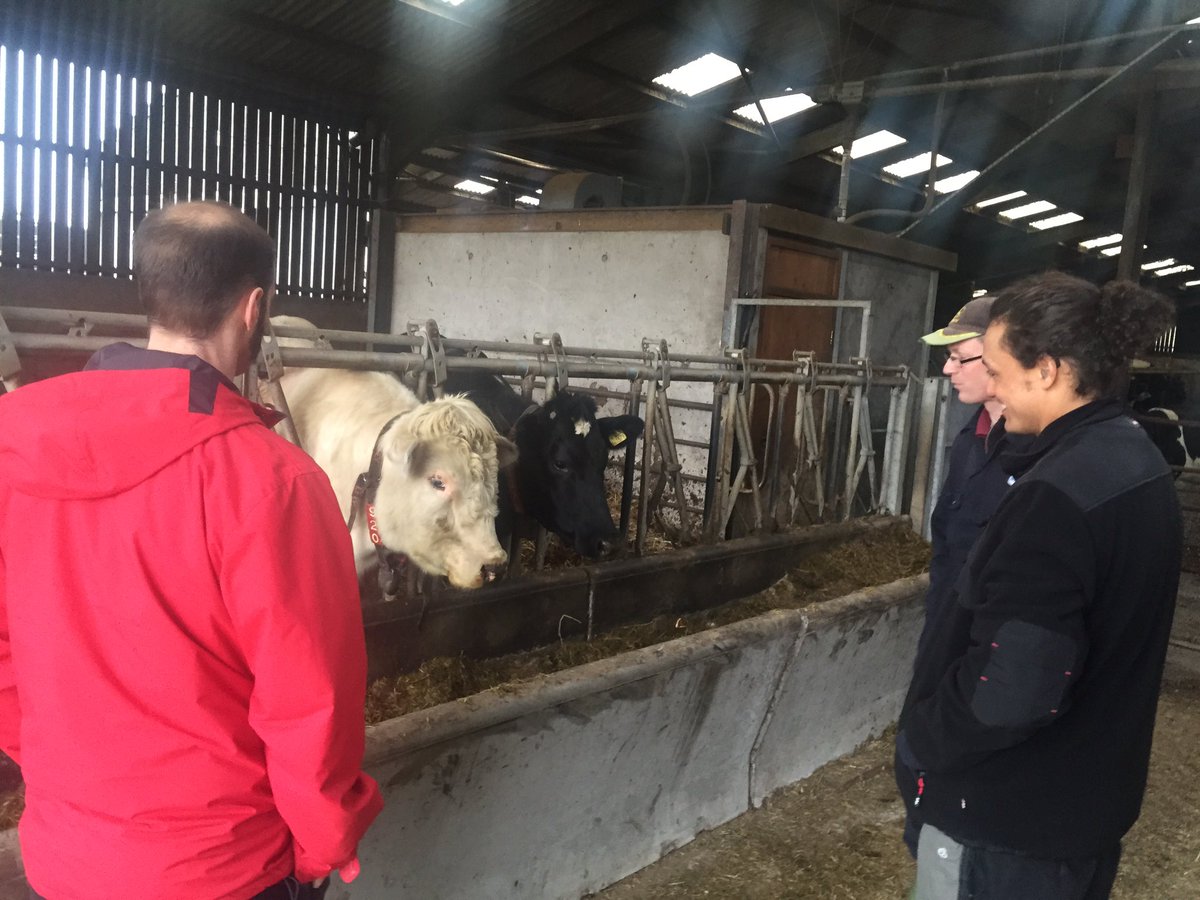 Simon Kristiansen tweet media